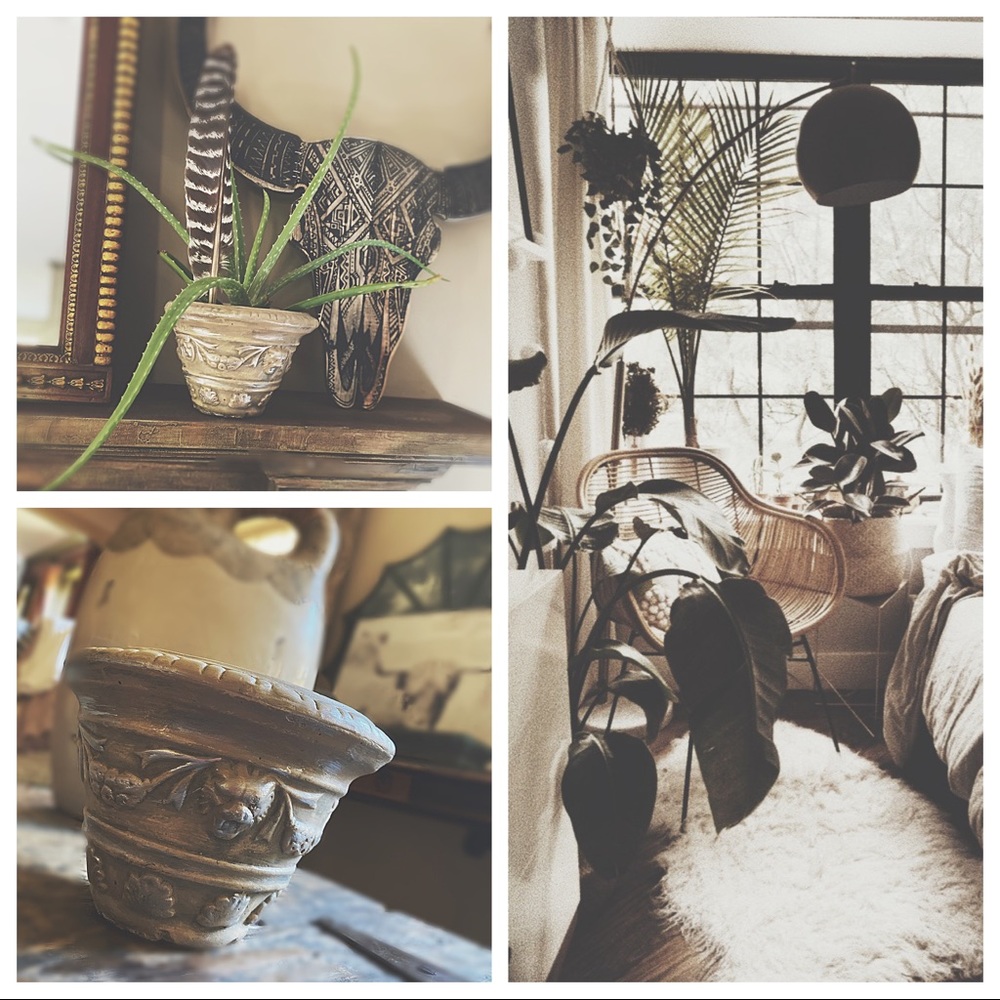 Detailed Planter